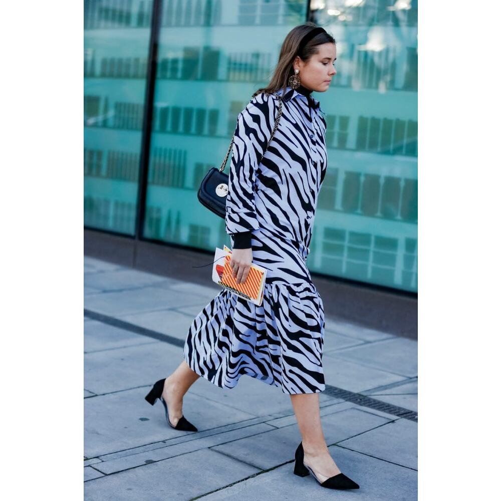 Zara Womens Dress Sz M Powder Blue Black Zebra Animal Print Shirt Long